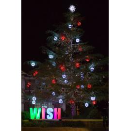 Hornsby Shire Council's Christmas Tree 2015