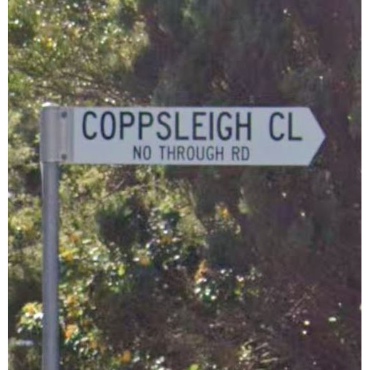 Coppsleigh Close