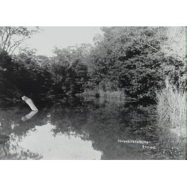 Brown's waterhole, Epping
