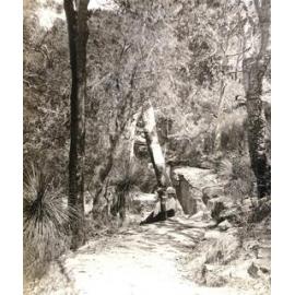 Wray family picnic day in Kuring-gai