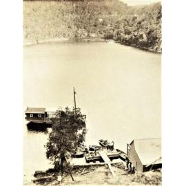 Wray family picnic day in Kuring-gai