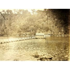 Wray family picnic day in Kuring-gai