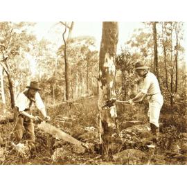 Bush workers tableau
