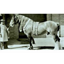 Jim Saunders and Horse