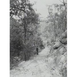 Ku-ring-gai Chase National Park, view of the track leading from Berowra Railway Station