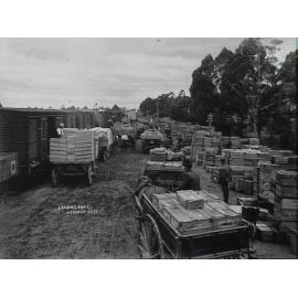 Loading fruit, Pennant Hills goods yard