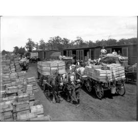 Loading fruit, Pennant Hills goods yard