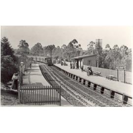 Beecroft Railway Station, looking north, c.1910