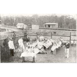Birthday Party, Beecroft, c.1896