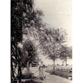 Mrs Fraser in her garden at Pennant Hills