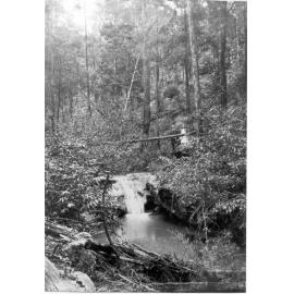 First Fall, Beecroft