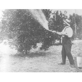 Spraying in Hall's Orchard