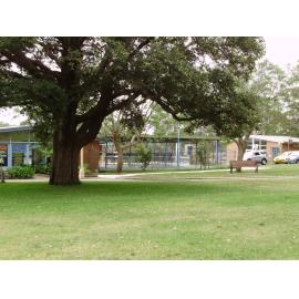 Hornsby Olympic Pool 1962 - 2010