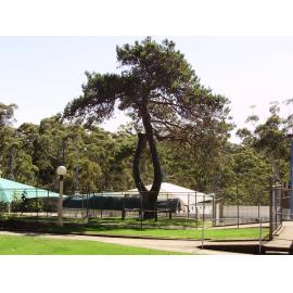 Hornsby Olympic Pool 1962 - 2010