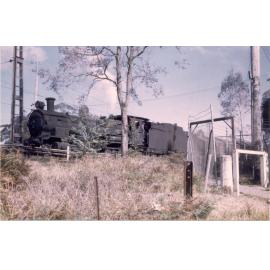 Steam train at Goonaroo Siding, Thornleigh