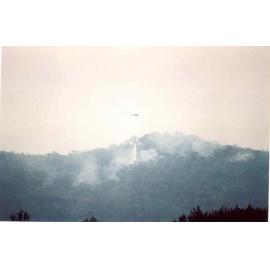 Wisemans Ferry Cemetery during the bushfire of December 2002