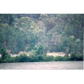 Wisemans Ferry Cemetery after the bushfire, December 2002