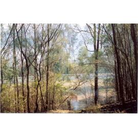 Wisemans Ferry Cemetery after the bushfire, December 2002