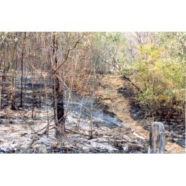 Wisemans Ferry Cemetery after the bushfire, December 2002