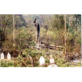 Wisemans Ferry Cemetery after the bushfire, December 2002