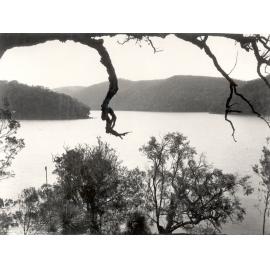 Yeomans Bay, Ku-ring-gai Chase