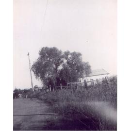 Joseph Patterson's House (south side), Duffy Avenue, Thornleigh