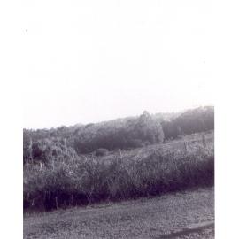 Duffy Avenue, Thornleigh, looking south