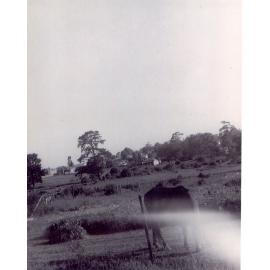Duffy Avenue looking south towards Nicholson Avenue, Thornleigh