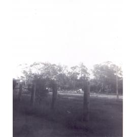 South side of Duffy Avenue, Thornleigh, east of Quarter Sessions Road
