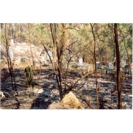 Wisemans Ferry Cemetery after the bushfire, December 2002