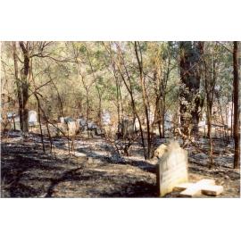 Wisemans Ferry Cemetery after the bushfire, December 2002