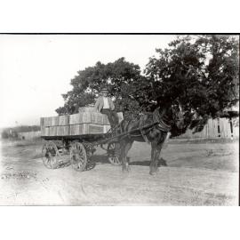 Franks' Orchard, Carlingford