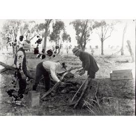 Extracting honey from a log, Epping area