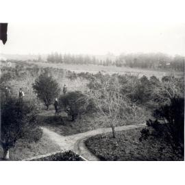 Government Orchard, Dural