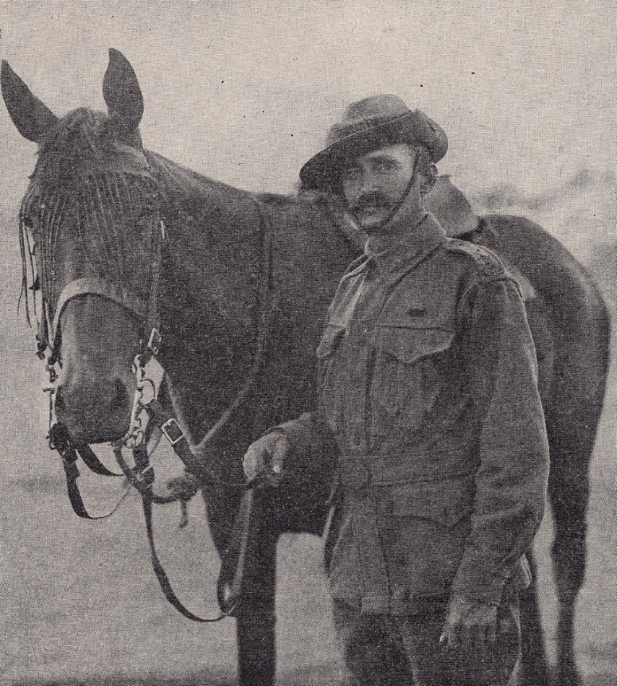 Sidney Ernest Parkes