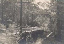 Radleys Bridge, New Line Road, circa 1960