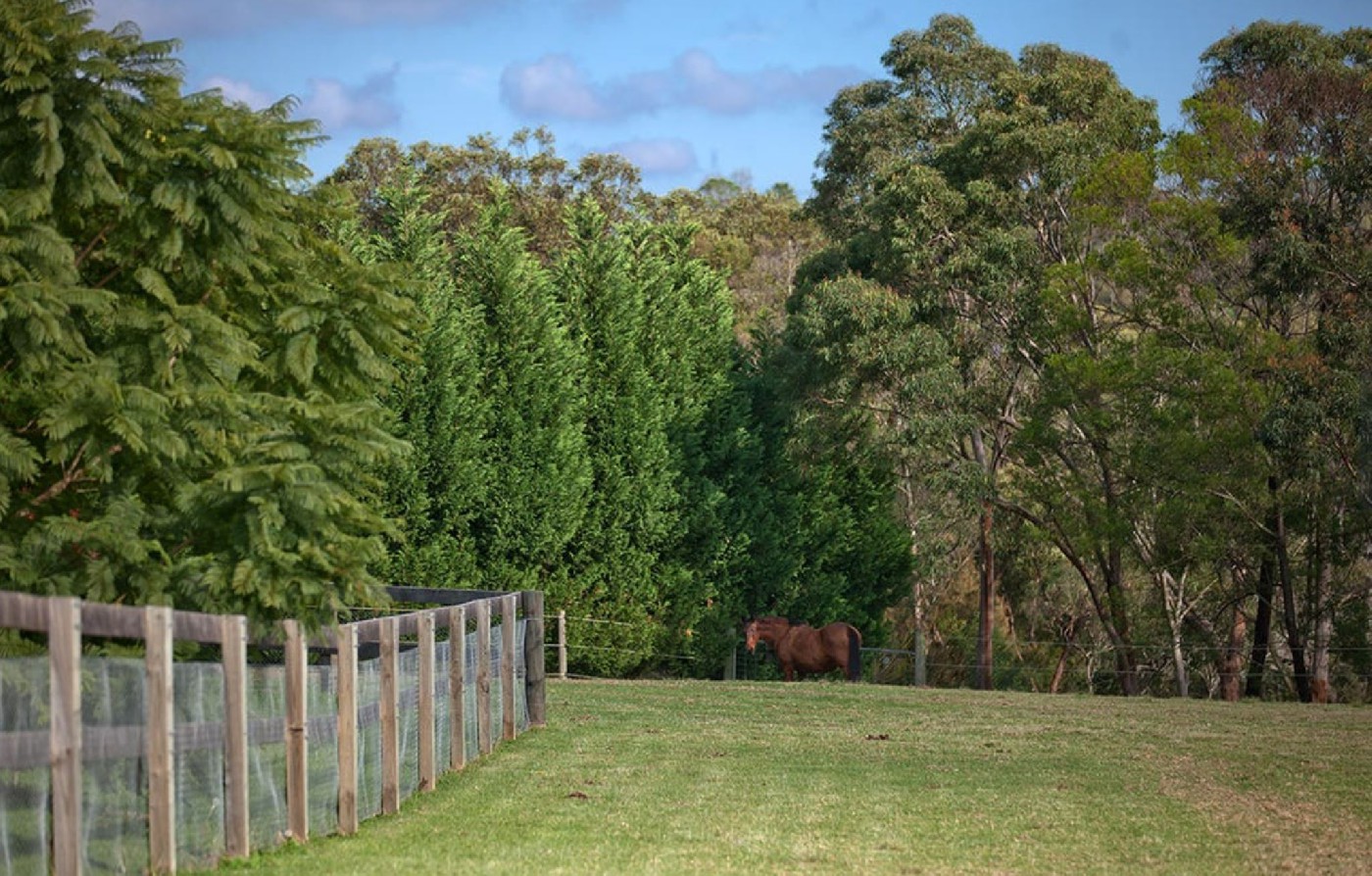 Henstock Road Arcadia
