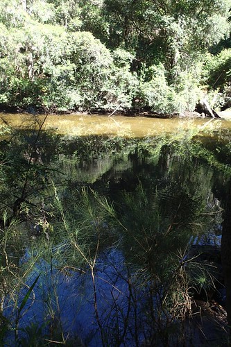 Charltons Creek