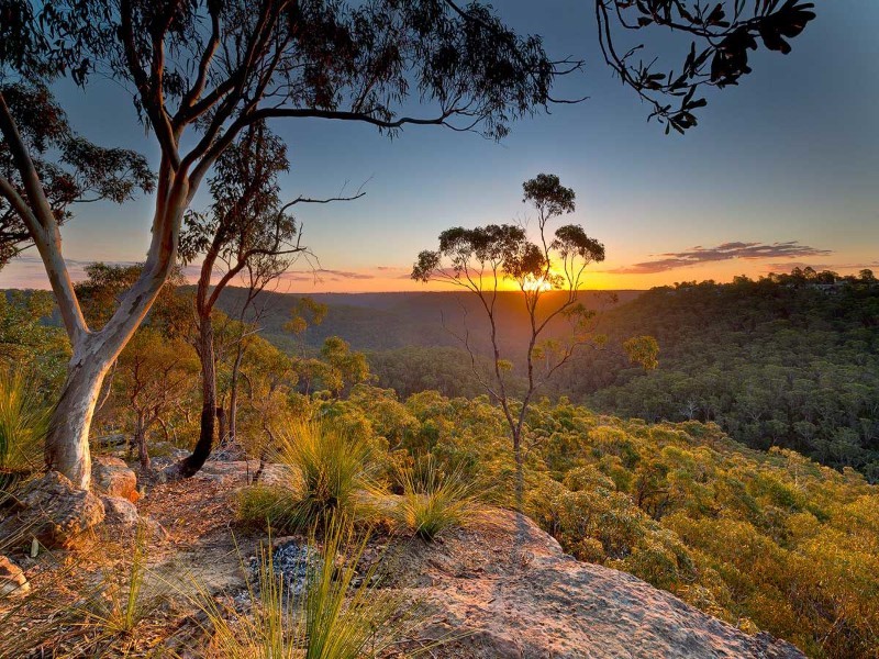 Muogamarra Nature Reserve