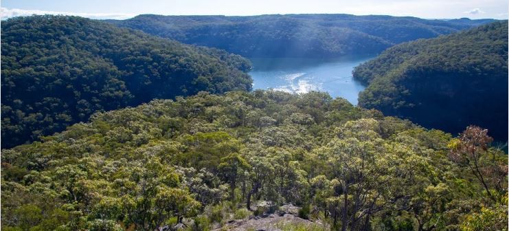 View from Mount Murray Anderson