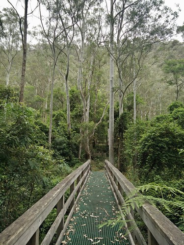 Mill Creek Mill Creek 