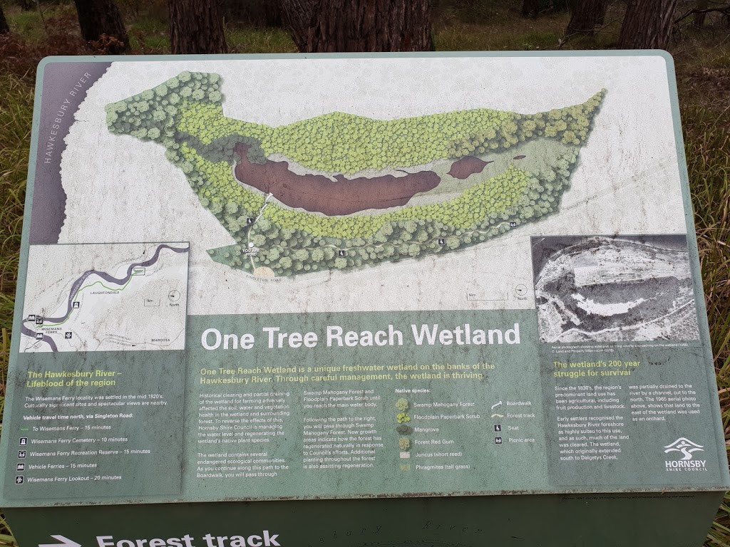 One Tree Hill wetlands, Laughtondale.