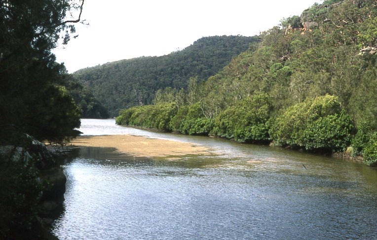 Calna Crteek feeding into Berowra CreekCalna Crteek feeding into Berowra CreekCalna Creek feeding into Berowra CreekCalna Creek feeding into Berowra Creek