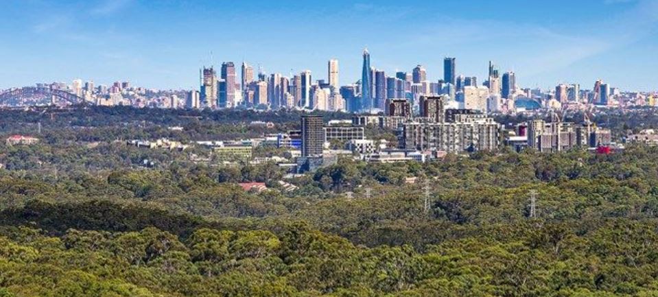 View of the city from Thornleigh.