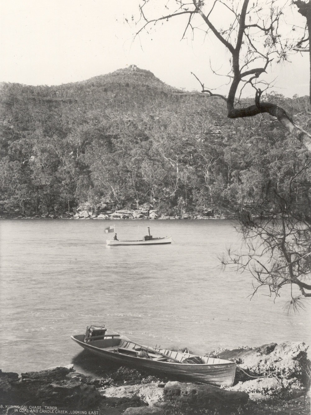 Ku-ring-gai Chase Trust's launch on Coal and Candle CreekKu-ring-gai Chase Trust's launch on Coal and Candle CreekKu-ring-gai Chase Trust's launch on Coal and Candle CreekKu-ring-gai Chase Trust's launch on Coal and Candle CreekKu-ring-gai Chase Trust's launch on Coal and Candle Creek